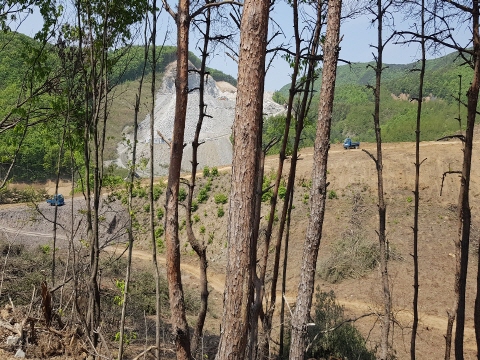 1557811255725 (1).jpg