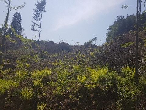 1557811317962 (1).jpg