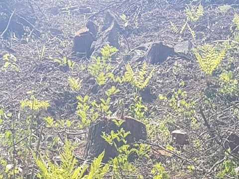 사본 -1557811363883 (1).jpg